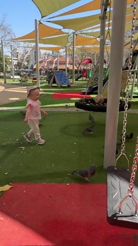 Toddler plays with pigeons on Petah Tikva playground