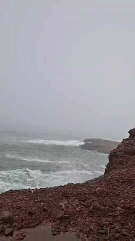 A video shows a choppy ocean on a foggy day. Waves crash against a rocky shore in the foreground. A fishing rod is visible in the frame, its tip extending upwards into the misty sky. The scene is somber and overcast, with limited visibility due to the fog.