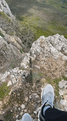 Spring nature walk documented in Chaika, Ukraine forests