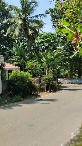 A white SUV and a black car are driving down a paved road. The road is lined with lush green trees and vegetation. A house is visible on the left side of the road. The sky is blue and clear. The video appears to be filmed in a tropical or subtropical region.