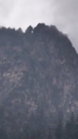 A bird is seen soaring in the sky above a forested mountain. The mountain has a rocky face and is covered in trees. The sky is cloudy and overcast.