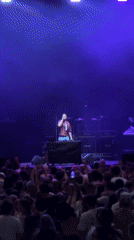 DJ performs to large crowd in Paris evening set