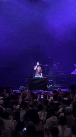DJ performs to large crowd in Paris evening set