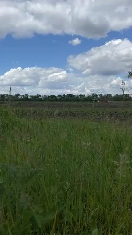 The video shows a green field with tall grass in the foreground and a cultivated field in the background, under a sky with blue patches and fluffy white clouds. A line of trees is visible on the horizon. In the cultivated field, a green and red tractor is moving from right to left, appearing small and distant. The camera is static, focusing on the landscape.
