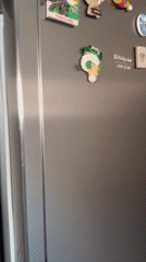 Varna resident documents quirky home life with toy-filled fridge