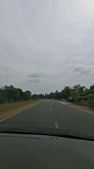 Rural road through Aceh's quiet countryside, cloudy morning
