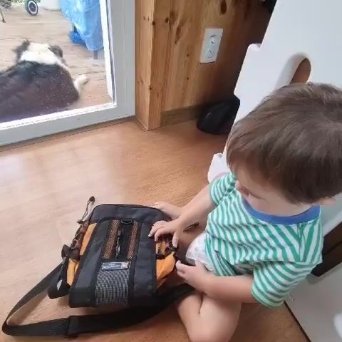 A toddler wearing a green and white striped shirt and a diaper sits on a wooden floor next to a black and orange messenger bag. The toddler is facing the bag and appears to be playing with a zipper. Outside a glass door, a black and white dog is lying down. The room has wood-paneled walls and a white playpen gate.