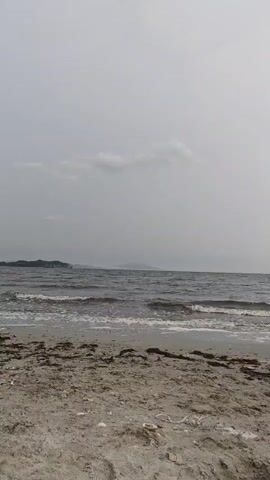 The video shows a body of water with waves crashing on a sandy shore. The sky is overcast, and there are hills in the distance. The sand is covered with some seaweed and shells. The video is shot from a low angle, looking out towards the water.