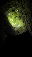 Video captures moss-covered shaft interior in Tegallalang, Indonesia