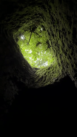 Video captures moss-covered shaft interior in Tegallalang, Indonesia