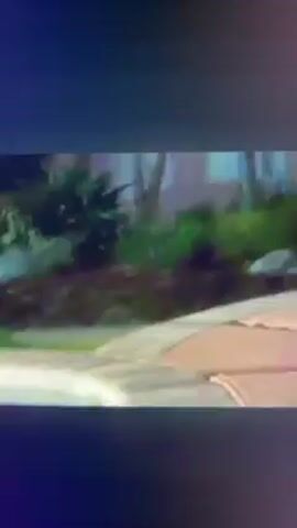 The video shows a man with a shaved head, wearing a bright green t-shirt and a large gold chain, looking directly at the camera and saying "Fuck you, nigga." He is sitting outside, with a blurry background of trees and a white fence behind him.  The video quality is somewhat grainy.