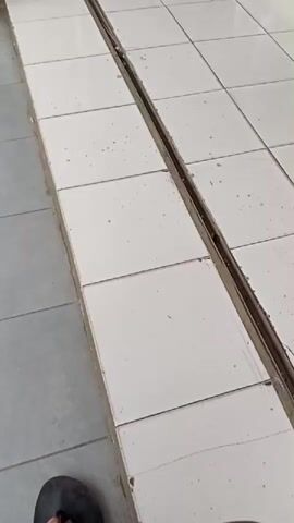 The video pans across a tiled floor. In the foreground, there is a narrow gap between two sections of tiling. The gap is filled with a dark material and appears to be a drainage channel or expansion joint. To the left, the tiles are a light gray color. To the right, the tiles are white. Further down the hallway, there is a doorway leading into a shop. Inside the shop, there are shelves displaying various items, including bags and shoes. A man is standing near the entrance to the shop. In the background, the floor continues to be tiled. There is also a motorcycle wheel visible in the lower left corner of the frame at the beginning of the video.