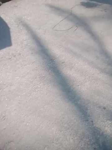 The video shows a close-up, overhead view of an asphalt surface, possibly a road or sidewalk, with shadows of trees cast across it. On the left side of the frame, there is a collection of items, including plastic bags, containers, and what appears to be some kind of woven mat or fabric. A few lighter-colored objects, possibly food items like snacks or produce, are also visible. In the center of the frame, a thin, dark, curved line is drawn on the asphalt. The overall scene appears to be outdoors, with natural light creating the shadows.