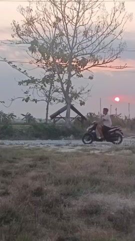 A motorcycle speeds across a dirt road, kicking up dust. The sun is setting behind a bare tree and a small, open-sided structure. Dry grass covers the foreground.