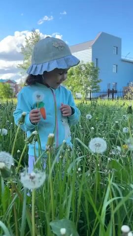 A young child stands in a field of tall green grass and dandelions, wearing a light blue jacket and a sun hat. The child is holding a dandelion and attempts to blow the seeds off. Behind the child is a large, light blue building with a few windows and a dark fence. The sky is blue with scattered clouds. Two people walk behind the fence in the distance.