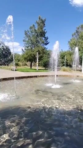 This video captures a serene outdoor scene featuring a fountain on a bright, sunny day. The fountain, with at least three jets of water spraying upwards, is the central focus. The water is clear, revealing the pebbled bottom of the pool. Surrounding the fountain is a paved area, and beyond that, a green lawn and trees. In the background, a tall, slender tree stands out against the clear blue sky, which is dotted with a few fluffy white clouds. The sun is high, indicating it is likely midday. The overall atmosphere is peaceful and inviting, suggesting a pleasant day in a public park or garden. There is no visible text in the video.
