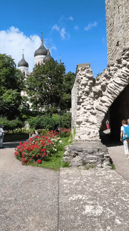A summer morning through Tallinn's Old Town landmarks and gardens
