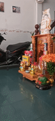 Indoor scene with altar and groomed dog captured in Đà Nẵng
