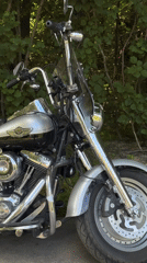 Chrome Harley parked roadside near trees in Moscow