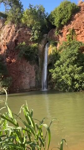 A waterfall cascades down a rocky cliff face into a calm, green body of water. Lush green foliage surrounds the waterfall and water. The sky is a clear blue. In the foreground, the tips of some tall, thin green plants are visible.