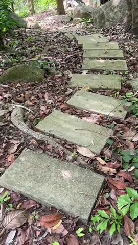 The video shows a stone pathway winding through a forest floor covered in dry leaves and some green foliage. Large rocks are scattered throughout the scene. In the background, a building with a red roof is partially visible amongst the trees. The pathway appears to be made of irregularly shaped stone slabs laid end-to-end. The camera is positioned low to the ground, following the path as it recedes into the distance. The lighting suggests it is daytime, with sunlight filtering through the canopy of trees.