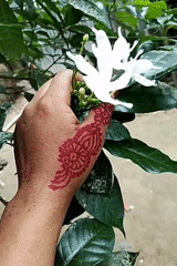Decorated hand holds flowers, black duck feeds near water