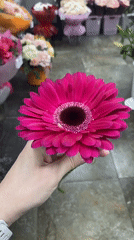 Early morning scenes captured across Yekaterinburg flower shops and streets