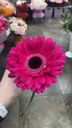 Early morning scenes captured across Yekaterinburg flower shops and streets