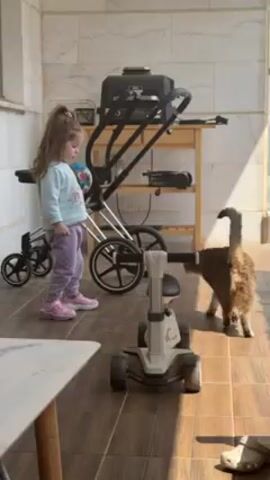 A toddler stands on a tiled floor with a colorful ball in her hand. She is wearing pink shoes, purple pants, and a light blue sweater. A tabby cat walks around a white robot vacuum cleaner near the toddler. Behind the toddler is a baby stroller, a black grill, and a table. The scene appears to be an outdoor patio with a wall and partial roof in the background.
