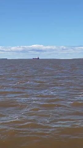 The video shows a wide shot of a body of water, likely a large river or lake, under a bright blue sky with scattered clouds. The water is choppy, with visible waves. In the distance, a large cargo ship is sailing across the water. The ship is dark in color with some white and red markings. Another, smaller dark object, possibly another vessel or landmass, is visible to the left of the ship. The overall environment suggests an open, expansive watery landscape on a clear day. There are no people visible in the shot. The camera appears to be moving slightly, creating a subtle motion blur on the water's surface.