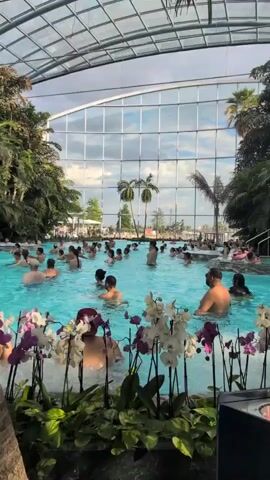 The video shows a large indoor swimming pool with a glass roof. Numerous people are in the pool, some are swimming, others are standing and conversing. Several palm trees and other lush greenery are visible around the pool, creating a tropical ambiance. Orchids are also displayed in the foreground, adding to the decor. The overall scene depicts a crowded recreational area, likely a water park or spa, with people enjoying the facilities under a bright, cloudy sky.