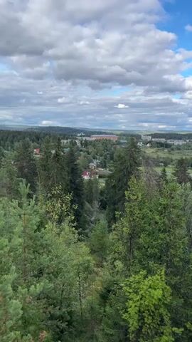 The video shows a panoramic view of a forest with a town in the distance. The sky is blue with white clouds. The trees are green and lush, and the town appears to be nestled among rolling hills. The camera pans slowly across the landscape, offering a serene and peaceful scene.