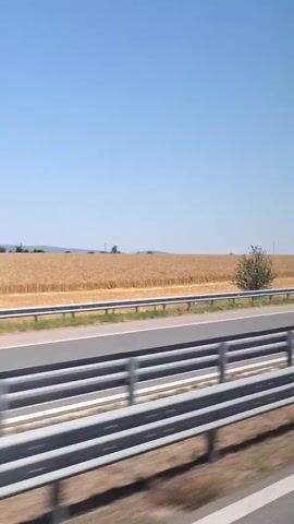 The video captures a side-view of a landscape from a moving vehicle on a sunny day. The foreground is dominated by a gray metal guardrail separating the viewer from a highway. Beyond the guardrail, a road runs horizontally across the frame, with blurred cars visible in motion. To the right of the road, a field of dry, golden crops, likely wheat or barley, stretches into the distance, meeting a gentle, rolling hillside under a clear blue sky. Scattered trees and bushes are sparsely present throughout the landscape. The perspective suggests the viewer is on a road adjacent to or on the highway itself, moving in the same direction as the observed traffic.
