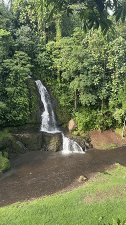 Waterfall and bronze sculptures documented in Blahbatuh, Indonesia
