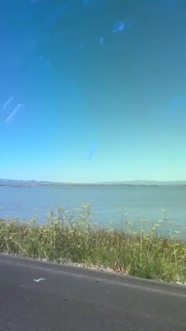 The video shows a view from a vehicle traveling alongside a body of water. The foreground features a paved road on the left, with dry grass and some yellow wildflowers growing on the right. In the midground, a calm body of water stretches horizontally across the frame. The background consists of a distant shoreline with hills under a bright blue sky with some light streaks or artifacts. The overall impression is a scenic drive on a clear day.