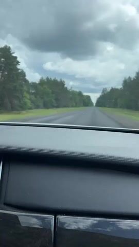 The video shows a point-of-view shot from inside a car driving down a paved road. The road is flanked by green grass and dense trees on both sides, with a line of pine trees visible on the right. The sky is overcast with dark, heavy clouds. The car's dashboard is visible in the foreground, including a digital display. The car appears to be in motion, as the scenery outside moves past.