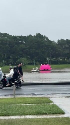 Rainy morning life continues around Da Lat's Xuan Huong Lake