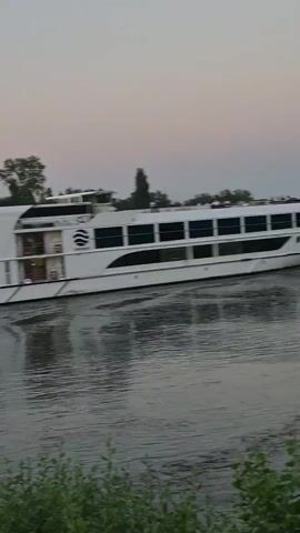 A white river cruise ship, labeled "UNIWORLD," is seen sailing on a body of water. The ship has multiple decks with numerous dark-tinted windows. In the foreground, lush green foliage borders the water, suggesting a natural riverside setting. Trees and some buildings are visible in the distance on the far bank of the river. The sky is a soft, dusky hue, indicating either sunrise or sunset. The water is calm with ripples reflecting the ship and the sky. A wake trails behind the ship, showing its movement through the water. The overall scene evokes a sense of peaceful travel or leisure. The time of day appears to be either early morning or late evening due to the subdued lighting and sky color. The location context is Nierstein, Germany.