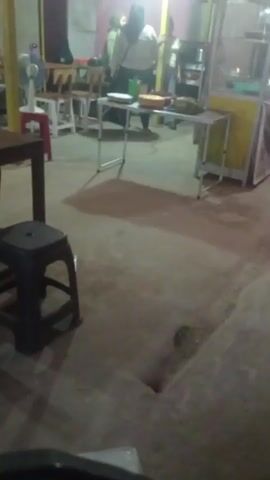 The video shows an indoor scene, possibly a food stall or a small restaurant, with dim lighting. In the background, two individuals are visible. One person, wearing a light-colored long-sleeved shirt, dark pants, and a hijab, is standing behind a folding table. This person appears to be handling something on the table. Another person, wearing a light-colored t-shirt and dark pants, stands to the right of the first individual, facing the camera. The table is set with various food items in containers. To the left of the table, a fan is visible, and further left, there are tables and chairs. In the foreground, a black plastic stool is prominently placed. The floor appears to be concrete. The overall atmosphere is that of a functional, possibly late-night establishment.