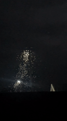 Night insects, street cleaning, fireworks observed in Gura Top