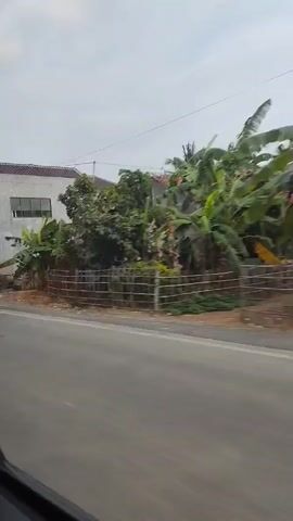 The video shows a view from inside a moving vehicle, capturing a street scene. On the left side of the road, there are several buildings, including a two-story house with a pink upper floor and a row of shops with closed shutters. Banana trees and other foliage are visible. A person on a motorcycle passes by in the opposite direction, wearing an orange shirt and a helmet. The road appears to be paved and is in the foreground. The sky is overcast.