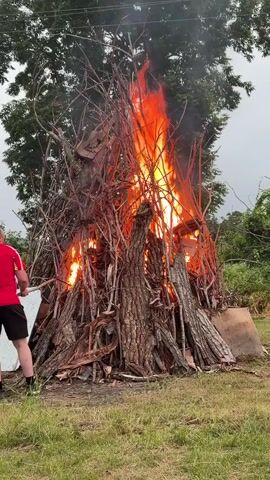 A large bonfire is burning outdoors. A person wearing a red shirt and black shorts is standing to the left of the bonfire, holding a long stick and appears to be interacting with the fire. The bonfire is made of large logs and branches, and flames are visible. Trees and green grass are in the background. The sky is overcast.