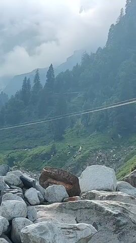 The video shows a mountainous, forested landscape with a rocky foreground. A series of power lines run horizontally across the frame, supported by poles visible on the right side of the screen. The mountainside is covered in green vegetation, with some bare rock faces. The lighting suggests it is daytime, possibly overcast, with a hazy atmosphere. There are no people or animals visible. The camera appears to be stationary, or moving very slowly.