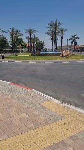 A white Toyota C-HR drives across the screen from left to right, passing by a fountain with several palm trees behind it. The fountain is surrounded by a circular patch of grass and some rocks. The road is paved and a sidewalk is visible in the foreground. The sky is clear and blue.