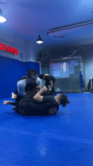 Jiu-jitsu training session observed at Dubai martial arts facility