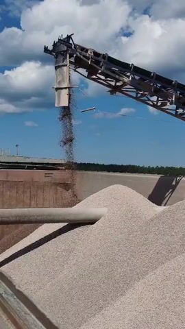 A conveyor belt system is shown in operation outdoors under a blue sky with clouds. The belt is elevated and extends from the right side of the frame towards the left. Material, appearing to be small, dark pellets, is being discharged from the end of the conveyor belt. This material is falling into a large pile of lighter-colored, granular material, possibly gravel or sand, which fills the lower portion of the frame. A concrete wall or barrier is visible behind the pile of lighter material, and a wide pipe extends horizontally across the frame in front of this wall, partially obscured by the pile.