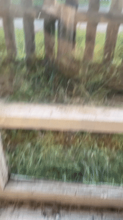Wooden fence and rural house at sunset, two angles