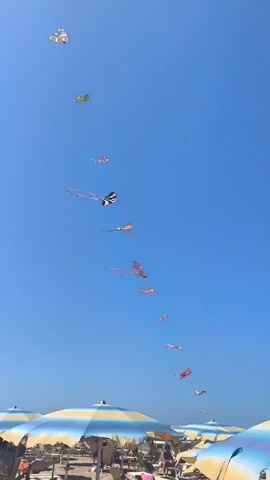A long string of kites of various colors and shapes are flying in a clear blue sky over a beach. The kites are arranged in a diagonal line from the top left to the bottom right of the frame. Below the kites, beach umbrellas and lounge chairs are visible on the sand. People are seen relaxing on the beach. The sea is visible in the background.