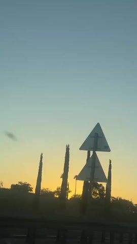 A low-angle, eye-level, slightly out-of-focus, time-lapse video shows a golden sunrise from inside a moving vehicle. The sun rises from behind a row of tall, thin, dark green cypress trees, some palm trees, and other trees. In the foreground, a dark gray highway barrier runs horizontally across the frame. Two street lights with long, thin poles are visible, one on the left and one on the right. The sky transitions from a golden yellow at the horizon to a clear blue at the top of the frame. The video ends as the sun becomes fully visible.