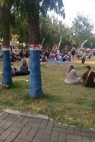 The video captures a scene in a park where several people are gathered outdoors. In the foreground, two trees with painted blue trunks marked with red and white bands stand prominently. A paved pathway with a brick pattern borders the grassy area. Two individuals are seated on the grass, facing away from the camera, near the base of one of the painted trees. The man is wearing a brown shirt and the woman is wearing a striped shirt and a headscarf. In the background, numerous other people are spread across the grass, some sitting on blankets, others standing. Flags on poles are visible among the trees and structures in the distance. The environment appears to be a public park or outdoor event space, with a sunny sky overhead and trees providing shade.